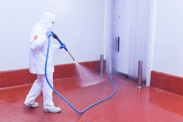 Best Sign and Awning Cleaning  in Dutch Island, GA